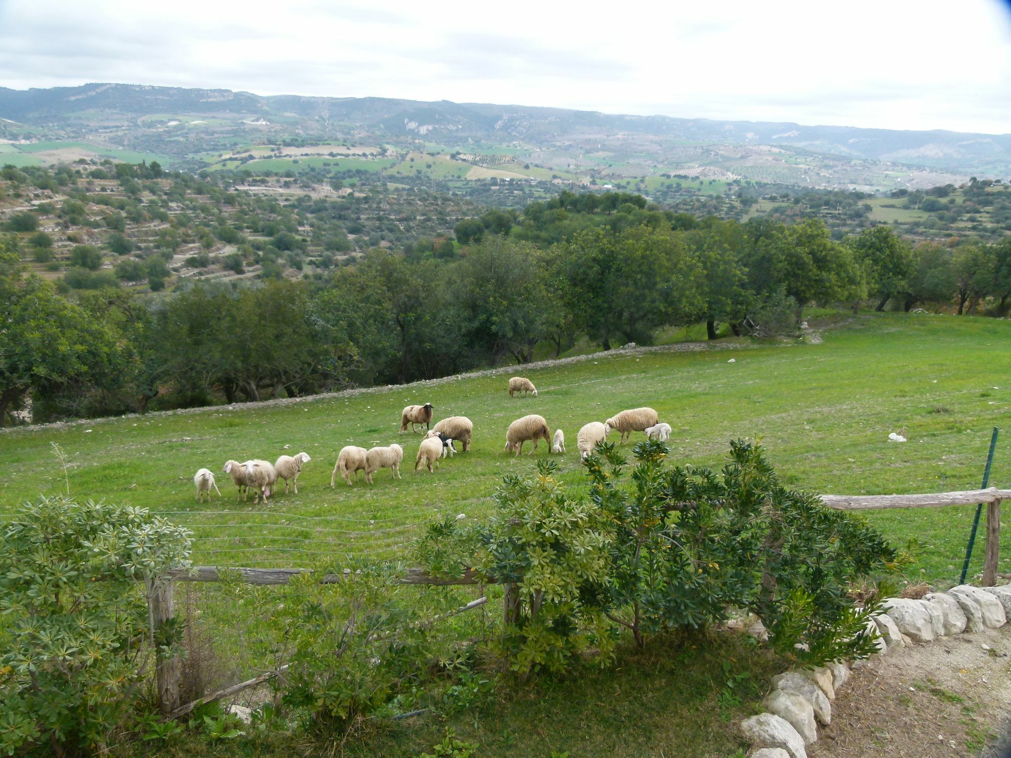 Agriturismo Villa Gaia Modica Zewnętrze zdjęcie