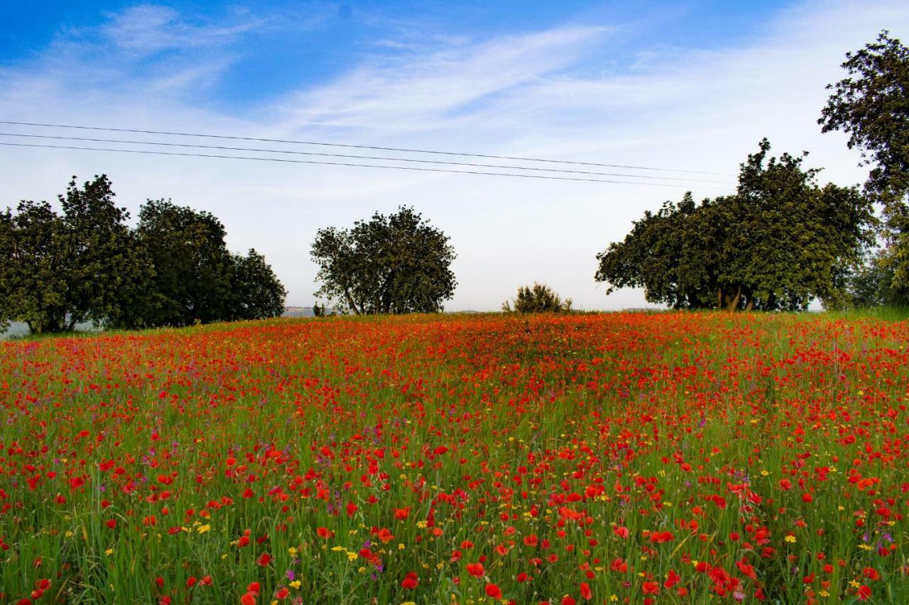 Agriturismo Villa Gaia Modica Zewnętrze zdjęcie